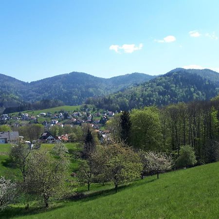 شقة Bühlertal  في فيرينفوهنونغ تشفارزفالدبليك المظهر الخارجي الصورة