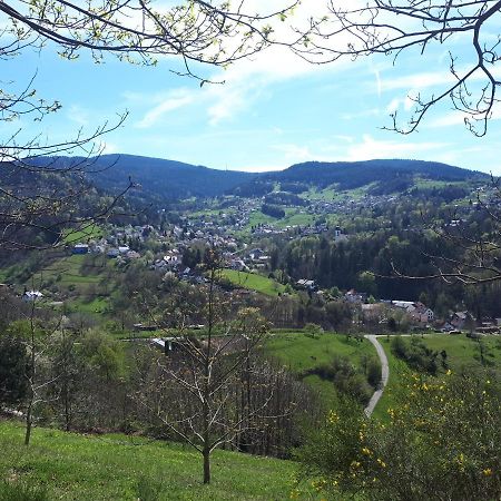 شقة Bühlertal  في فيرينفوهنونغ تشفارزفالدبليك المظهر الخارجي الصورة