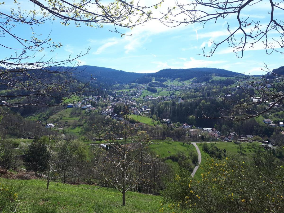 شقة Bühlertal  في فيرينفوهنونغ تشفارزفالدبليك المظهر الخارجي الصورة